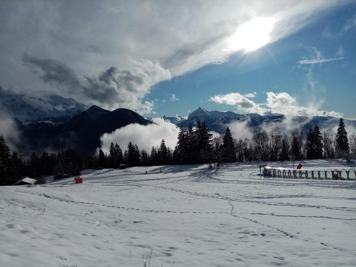 Mont Etape , F2, 42 M2, Calme, Vue Mt Blanc Daire Passy  Dış mekan fotoğraf