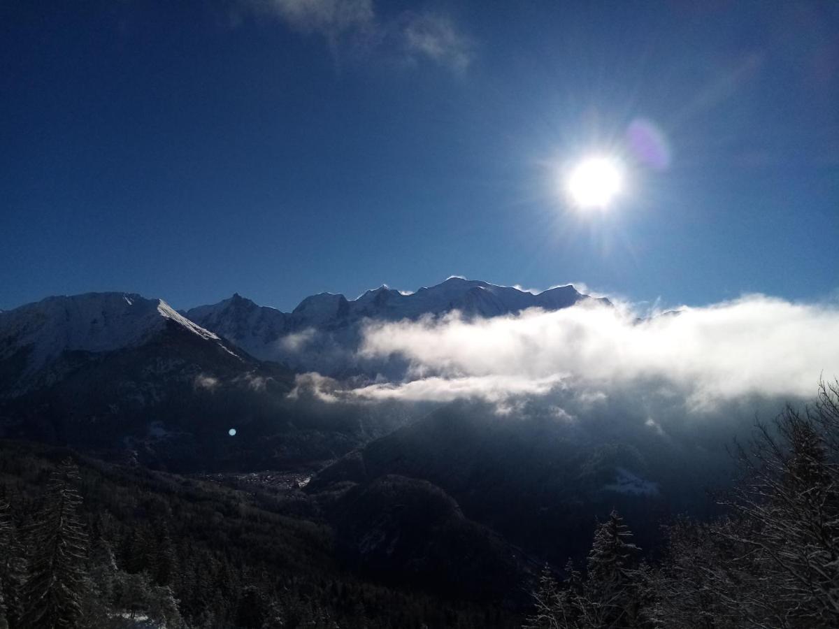 Mont Etape , F2, 42 M2, Calme, Vue Mt Blanc Daire Passy  Dış mekan fotoğraf