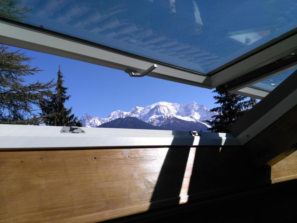 Mont Etape , F2, 42 M2, Calme, Vue Mt Blanc Daire Passy  Dış mekan fotoğraf