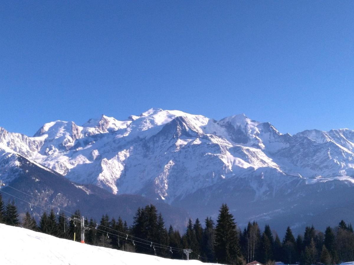 Mont Etape , F2, 42 M2, Calme, Vue Mt Blanc Daire Passy  Oda fotoğraf