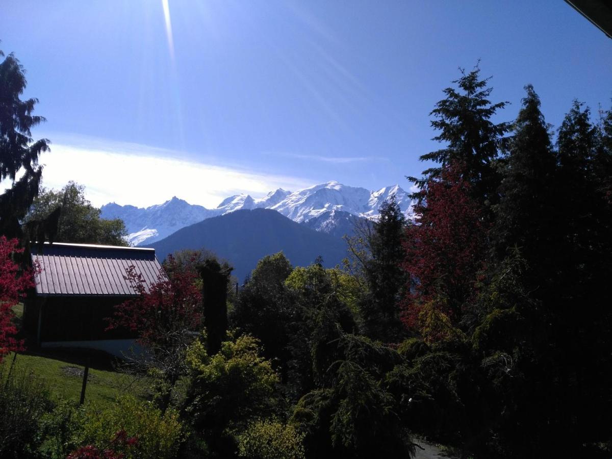 Mont Etape , F2, 42 M2, Calme, Vue Mt Blanc Daire Passy  Oda fotoğraf